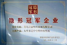 隱形冠軍企業(yè)